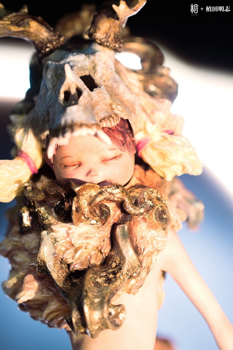 末那末匠丨植田明志《狮子座》(Sum-Art限定版)